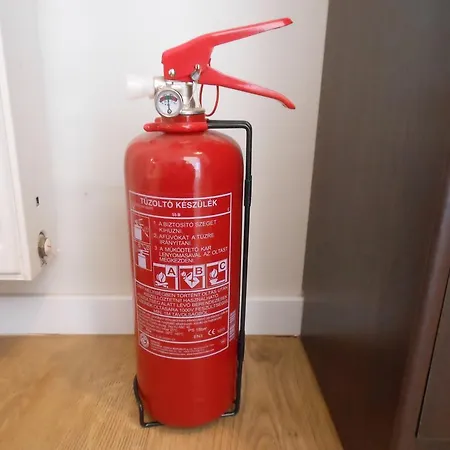 Local Paulay2 Budapeşte